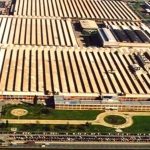 TOFAŞ Kooperatifi Yıllık Genel Kurulu İçin Heyecan Dolu Planlar ve Altında Yatan Riskler