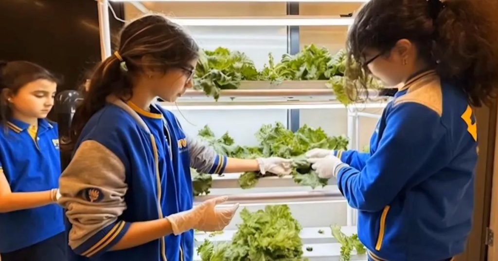 Topraksız Üretimle Geleceğin Bahçesi: Hidroponik Sistemle Öğrenci Projeleri ve Başarıları