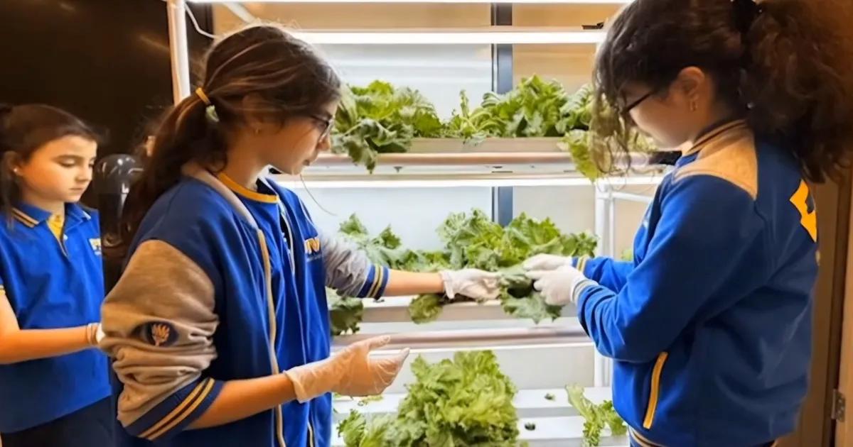 Topraksız Üretimle Geleceğin Bahçesi: Hidroponik Sistemle Öğrenci Projeleri ve Başarıları