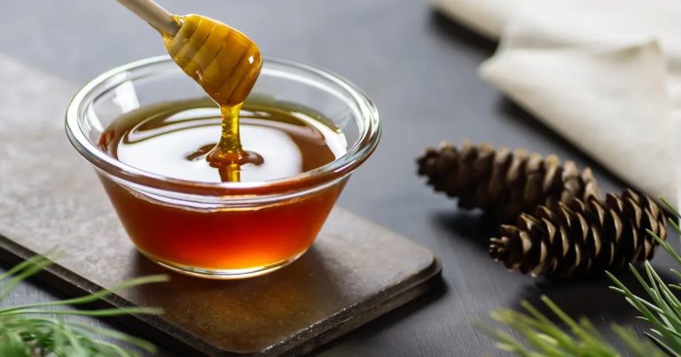 Türkiye Çam Balında Devrim: 250 Milyon Dolarlık Hedefe Doğru Bilimsel Atılım ve Bir AR-GE Yol Haritası