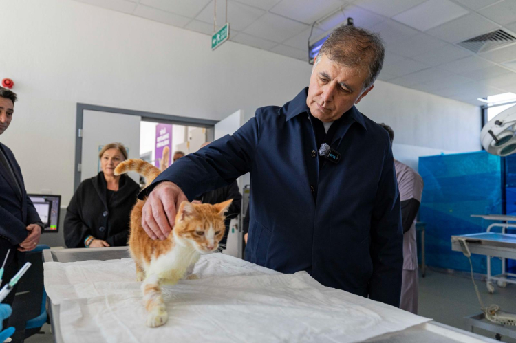Türkiye’nin En Güzel Barınaklarından Biri: Pako Bakımevi’nde Hayvanlara Umut Veren Anlar