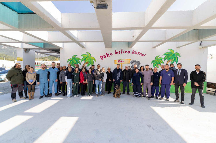 Türkiye’nin En Güzel Barınaklarından Biri: Pako Bakımevi’nde Hayvanlara Umut Veren Anlar