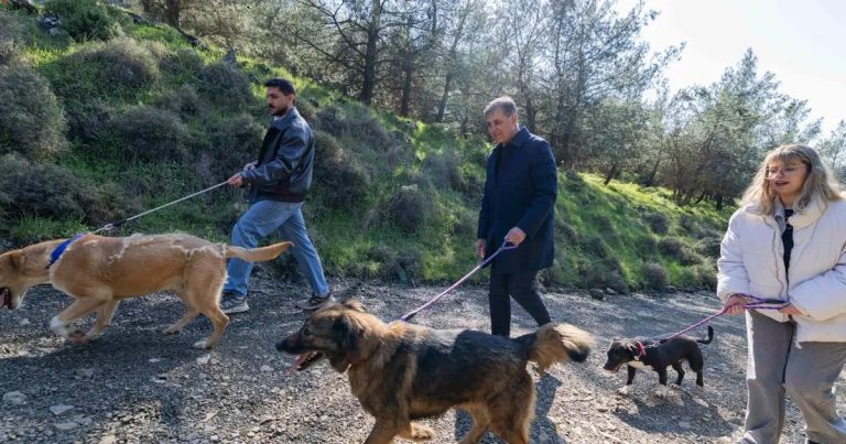 Türkiye’nin En Güzel Barınaklarından Biri: Pako Bakımevi’nde Hayvanlara Umut Veren Anlar