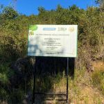 Watsons İyilik Hareketiyle 500 Bin Fidanlık Dayanışma ve 1 Milyon Fidan Hedefi