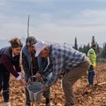 Yeşeren Umut: 70 Yaşındaki Kahya’nın Bahçesi Yeniden Cevizlerle Doldu, Zavallı Ağaçlar İçin Büyük Şehir Desteğiyle Geri Döndü