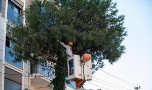 yeşilin gücüyle cadde ve mahalleler yeniden canlanıyor: Karşıyaka budama seferberliğiyle güvenli ve sağlıklı bir bahara merhaba