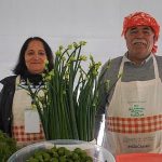 Alaçatı’nın Otlarla Örülü Baha ve Buluşma Noktası: Lezzetin Sırılsıklam Baharı