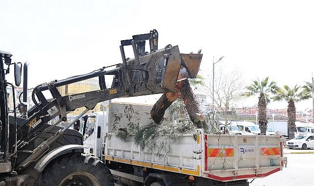 Aydın’da Yeşil Dokular Yükseliyor: Belediyenin Peyzaj ve Yeşil Alanlara Söz Verdiği Modern Dokunuşallar