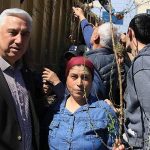 Bergama’da Ahlat Ağaçları ve Meyve Fidanlarıyla Kırsal Kalkınmanın Güçlü Kanalı: Aşılama, Dağıtım ve Yerel Dayanışma Rüzgarı