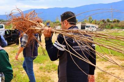 Beydağ’da İpek ve Kestaneyle Gelir Kaynakları Yükseliyor: Büyükşehir’in Yeni Destek Hamlesi