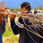 Beydağ’da İpek ve Kestaneyle Gelir Kaynakları Yükseliyor: Büyükşehir’in Yeni Destek Hamlesi