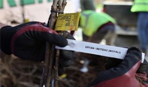 Beydağ’da İpek Yolu ve Kestane Gücü: Belediyeden İki Uzun Soluklu Destek Programı