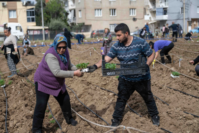 Bornova’da Kent Bostanları Yeni Sezonun Heyecanını Başladı: Kadınların Dayanışmasıyla Üretim Her Mahalleye Taşınıyor