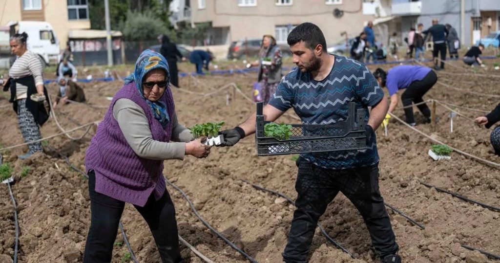 Bornova’da Kent Bostanları Yeni Sezonun Heyecanını Başladı: Kadınların Dayanışmasıyla Üretim Her Mahalleye Taşınıyor