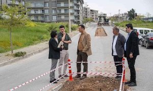 Bornova’da Orta Refüj Düzenlemesiyle Trafik Canlılığı ve Estetik Bir Dönüşüm: Sürücü Güvenliği Artıyor