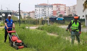 Buca’nın Bahar Seferberliği: 47 Mahallede Yabani Otlarla Mücadele ve Çevre Düzeneliğiyle Şehrin Yeni Güzelliği