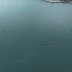 Çevre Alarmı: İzmir Körfezi’ne Yönelik Sistematik Kirlilik Tehditine Denizden Gelen Sesler ve Acil Eylem Çağrısı