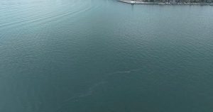 Çevre Alarmı: İzmir Körfezi’ne Yönelik Sistematik Kirlilik Tehditine Denizden Gelen Sesler ve Acil Eylem Çağrısı