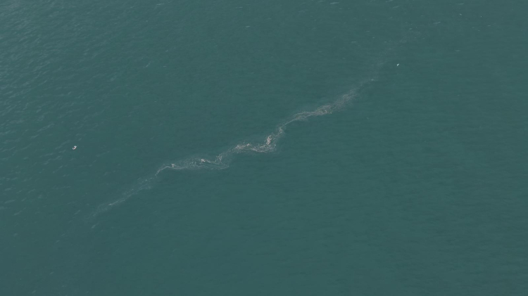 Çevre Alarmı: İzmir Körfezi’ne Yönelik Sistematik Kirlilik Tehditine Denizden Gelen Sesler ve Acil Eylem Çağrısı