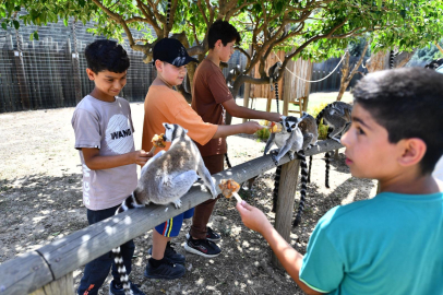 Çocuk Bayramı Coşkusu İzmir’de Parklara Taşınıyor: Ücretsiz Ziyaret ve Güncel Saatler