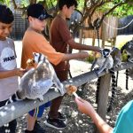 Çocuk Bayramı Coşkusu İzmir’de Parklara Taşınıyor: Ücretsiz Ziyaret ve Güncel Saatler