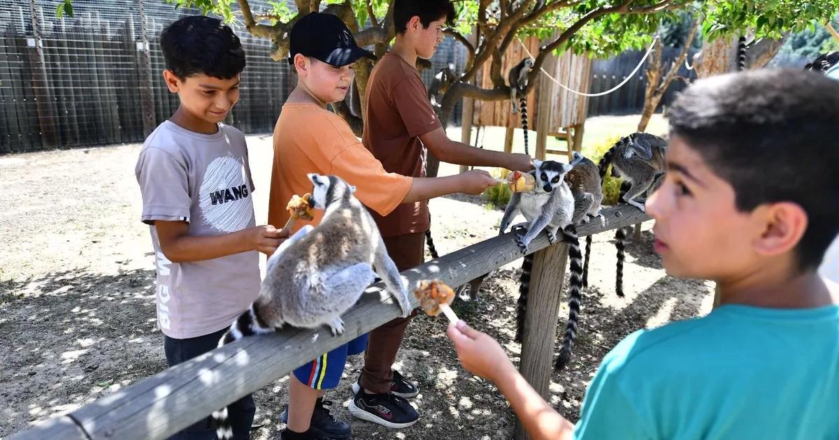 Çocuk Bayramı Coşkusu İzmir’de Parklara Taşınıyor: Ücretsiz Ziyaret ve Güncel Saatler