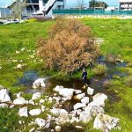 Drone Destekli İlaçlama ile 12 Ay Boyunca Kesintisiz Sivrisinek Mücadelesi: Torbalı’da Halk Sağlığı İçin Yenilikçi Yaklaşımlar