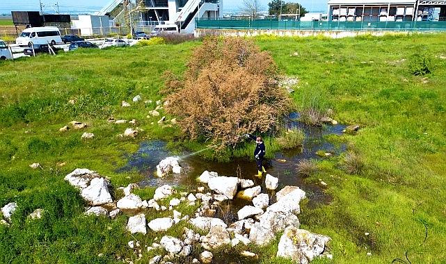Drone Destekli İlaçlama ile 12 Ay Boyunca Kesintisiz Sivrisinek Mücadelesi: Torbalı’da Halk Sağlığı İçin Yenilikçi Yaklaşımlar