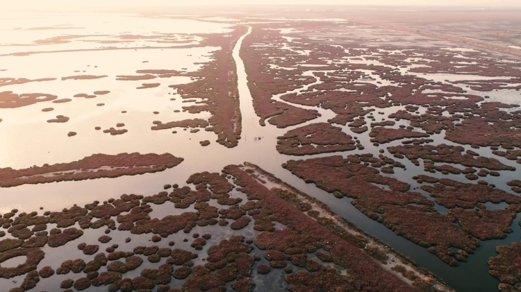 Gediz Kirliliğinin Görünmeyen Katmanları: Körfez’e Uzanan Tehlikenin Derinlere İnen Sesleri