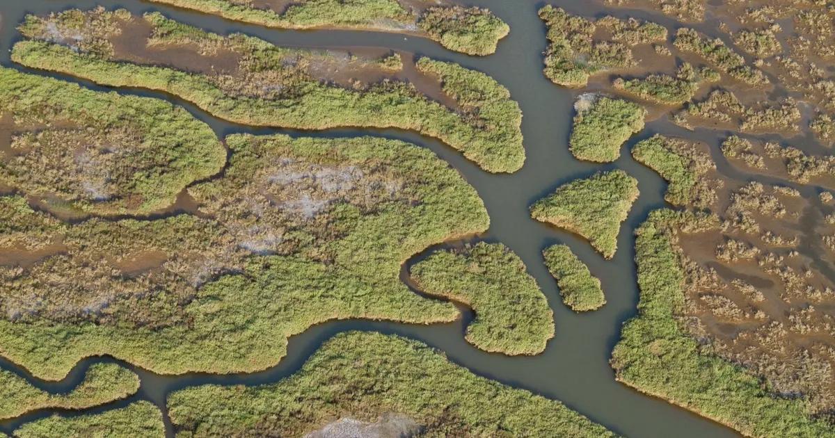 Gediz Kirliliğinin Görünmeyen Katmanları: Körfez’e Uzanan Tehlikenin Derinlere İnen Sesleri