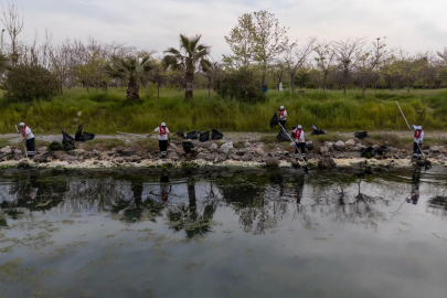 Gediz Körfezi’ni Sarmalayan Deniz Marulu Krizi: Kirlilik ve Etkileri Arsında Kapsamlı Bir İzleme
