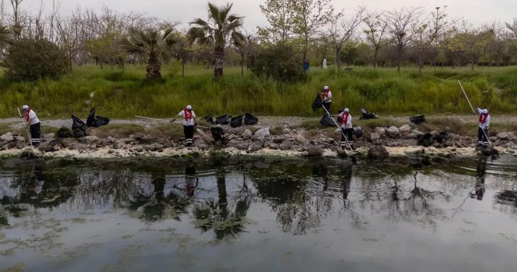 Gediz Körfezi’ni Sarmalayan Deniz Marulu Krizi: Kirlilik ve Etkileri Arsında Kapsamlı Bir İzleme