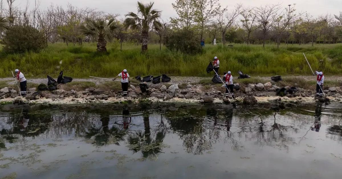 Gediz Körfezi’ni Sarmalayan Deniz Marulu Krizi: Kirlilik ve Etkileri Arsında Kapsamlı Bir İzleme