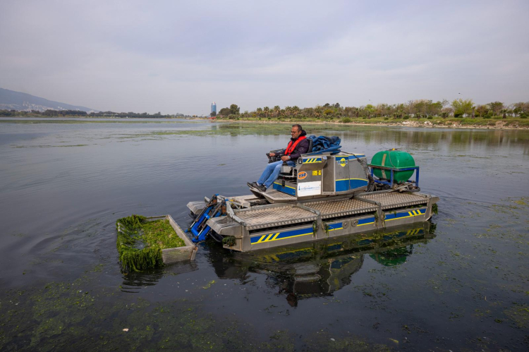 Gölgesiz Suların Kahramanları: İzmir Körfezi’nde Deniz Marullarıyla Mücadelede Sürdürülebilir ve Şeffaf Bir Gelecek