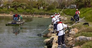 Gölgesiz Suların Kahramanları: İzmir Körfezi’nde Deniz Marullarıyla Mücadelede Sürdürülebilir ve Şeffaf Bir Gelecek