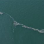 İzmir Körfezi’nde Dron Destekli Taramalarda 12. Kaynaklı Kirlilik: Kriz Derinleşiyor ve Yetkililer Çözüm Çağrısını Yeniliyor