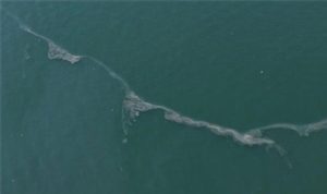 İzmir Körfezi’nde Dron Destekli Taramalarda 12. Kaynaklı Kirlilik: Kriz Derinleşiyor ve Yetkililer Çözüm Çağrısını Yeniliyor