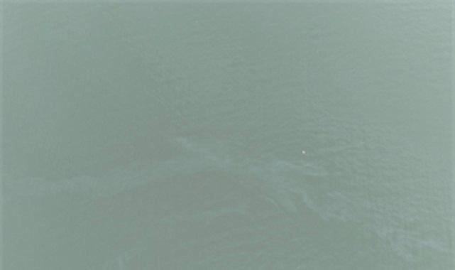 İzmir Körfezi’nde Dron İzlemeyle Tehlike Alarmı: 11. Kez Tekrarlanan Dış Kaynaklı Kirlilik ve Gölge Bırakan Sonuçlar