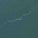 İzmir Körfezi’nde Dron Taraması Şoke Etti: Yapısal Kriz ve Hızlı Adımlar İçin Halktan Acil Çağrı