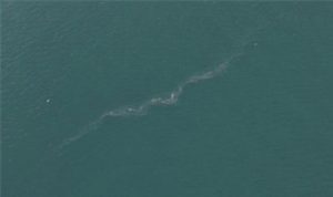 İzmir Körfezi’nde Dron Taraması Şoke Etti: Yapısal Kriz ve Hızlı Adımlar İçin Halktan Acil Çağrı