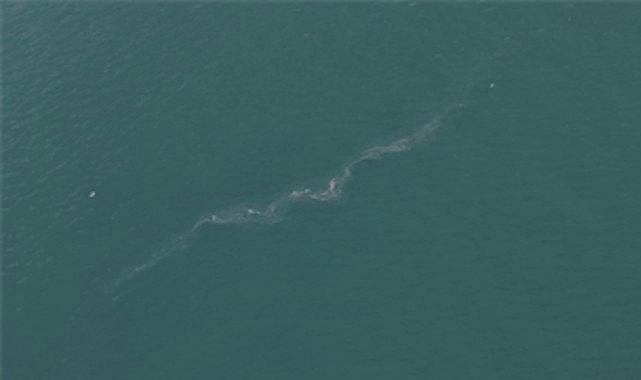 İzmir Körfezi’nde Dron Taraması Şoke Etti: Yapısal Kriz ve Hızlı Adımlar İçin Halktan Acil Çağrı