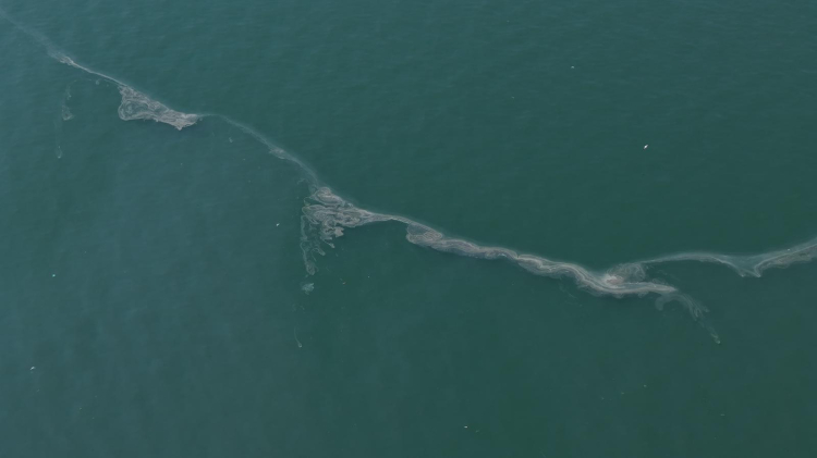 İzmir Körfezi’nde Drone Denetimi Sarsıcı Kriz: Yetkili Kurumlar ve Çevresel Savaşta Kesin Adımlar