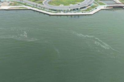 İzmir Körfezi’nde Kirlilik Alarmı: Denetimler Ardı Ardı Sürerken Denizlerimiz İçin Harekete Geçin