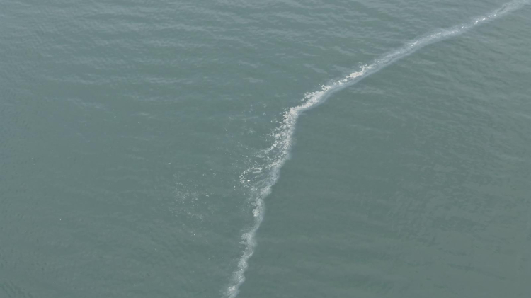 İzmir Körfezi’nde Kirlilik Alarmı: Denetimler Ardı Ardı Sürerken Denizlerimiz İçin Harekete Geçin