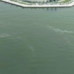 İzmir Körfezi’nde Kirlilik Alarmı: Denetimler Ardı Ardı Sürerken Denizlerimiz İçin Harekete Geçin