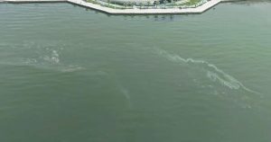 İzmir Körfezi’nde Kirlilik Alarmı: Denetimler Ardı Ardı Sürerken Denizlerimiz İçin Harekete Geçin