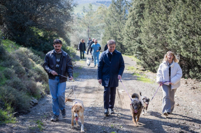 İzmir’de Tek Sağlık Vizyonuyla Sokak Hayvanlarına Umut Dolu Yıllar: Barınaklar Yeniden Yaşam Doldu