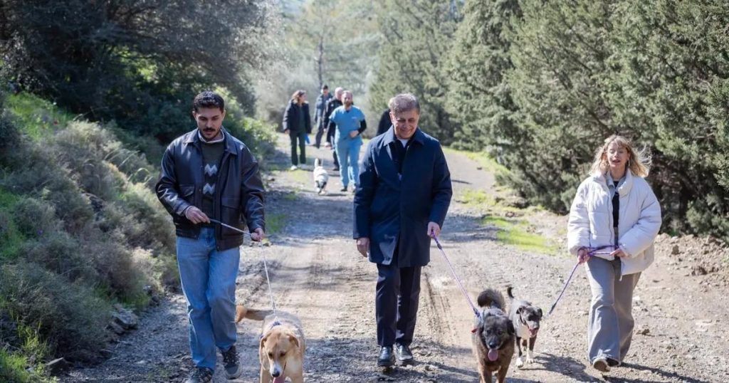 İzmir’de Tek Sağlık Vizyonuyla Sokak Hayvanlarına Umut Dolu Yıllar: Barınaklar Yeniden Yaşam Doldu