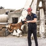 İzmir’in Kahraman Köpeği Momo: Enkazlardan Umuda Giden Başarı Hikayesi ve Eğitim Yolculuğu