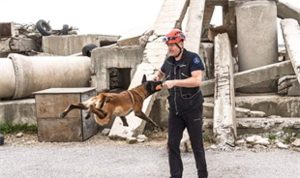 İzmir’in Kahraman Köpeği Momo: Enkazlardan Umuda Giden Başarı Hikayesi ve Eğitim Yolculuğu